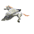 Wappen Pegasus
